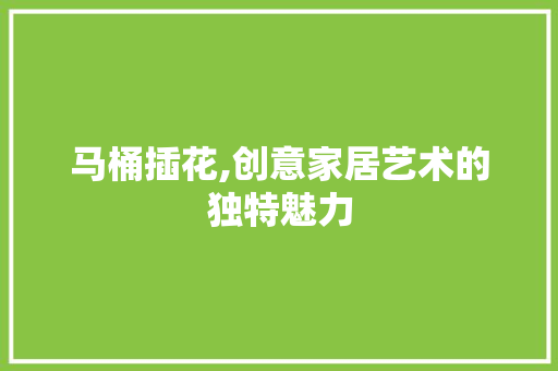 马桶插花,创意家居艺术的独特魅力