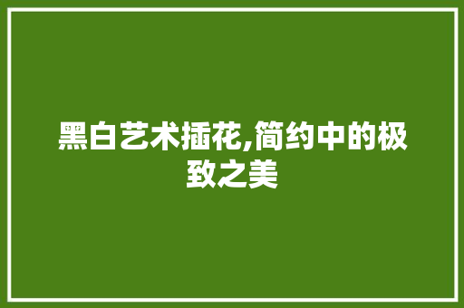 黑白艺术插花,简约中的极致之美