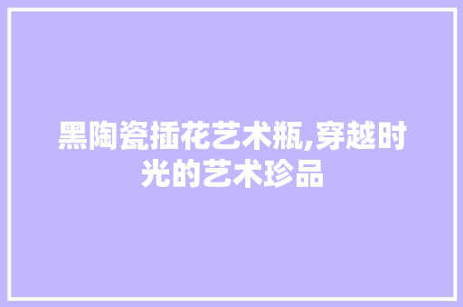 黑陶瓷插花艺术瓶,穿越时光的艺术珍品