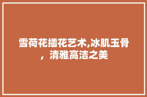 雪荷花插花艺术,冰肌玉骨，清雅高洁之美