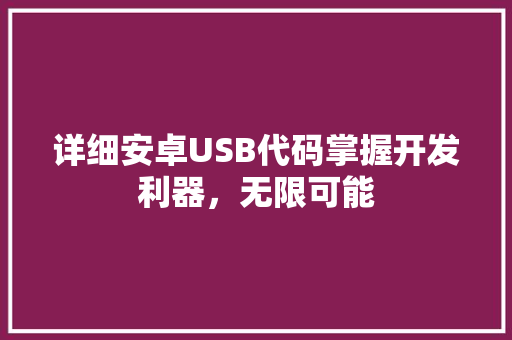 详细安卓USB代码掌握开发利器，无限可能
