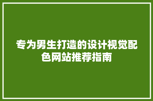 专为男生打造的设计视觉配色网站推荐指南