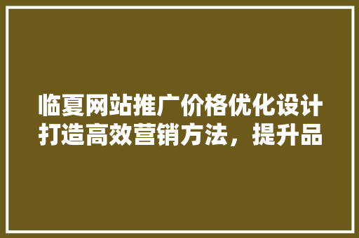 临夏网站推广价格优化设计打造高效营销方法，提升品牌影响力