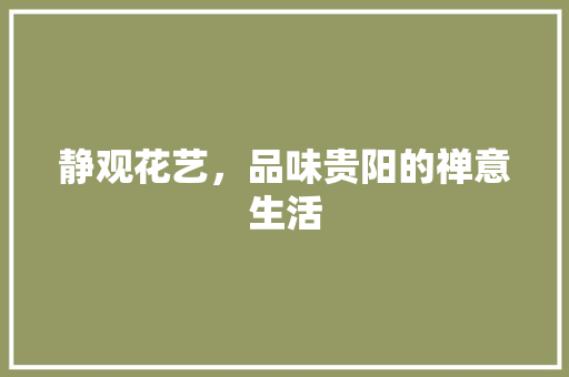 静观花艺，品味贵阳的禅意生活