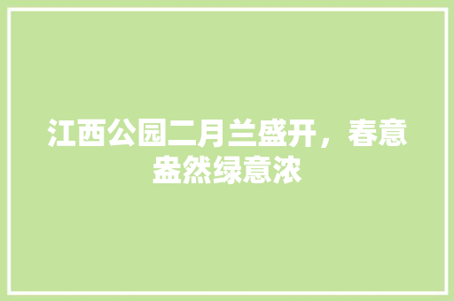 江西公园二月兰盛开，春意盎然绿意浓