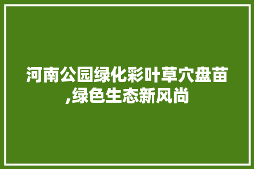 河南公园绿化彩叶草穴盘苗,绿色生态新风尚