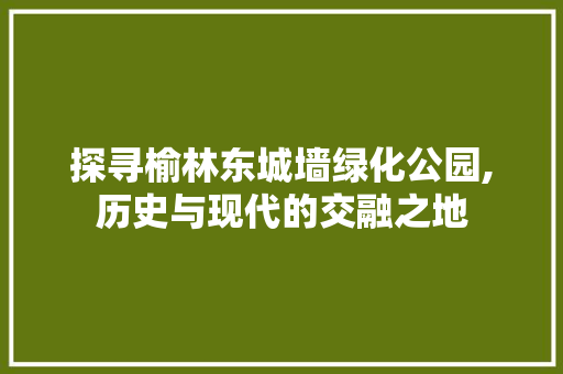 探寻榆林东城墙绿化公园,历史与现代的交融之地