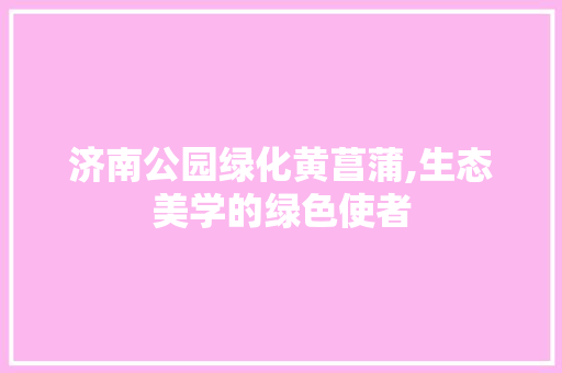 济南公园绿化黄菖蒲,生态美学的绿色使者