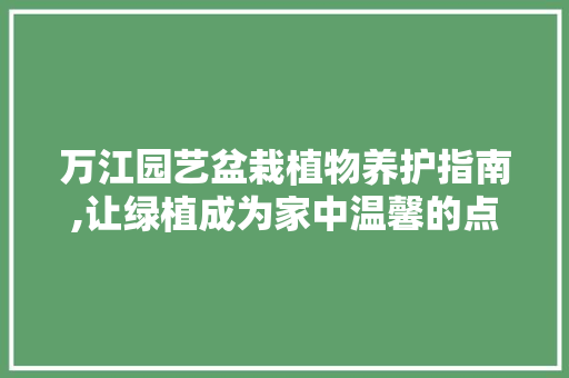 万江园艺盆栽植物养护指南,让绿植成为家中温馨的点缀
