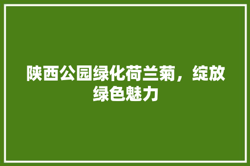 陕西公园绿化荷兰菊，绽放绿色魅力