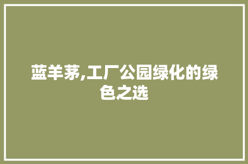 蓝羊茅,工厂公园绿化的绿色之选