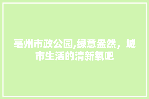 亳州市政公园,绿意盎然，城市生活的清新氧吧