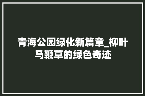 青海公园绿化新篇章_柳叶马鞭草的绿色奇迹