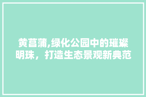 黄菖蒲,绿化公园中的璀璨明珠，打造生态景观新典范