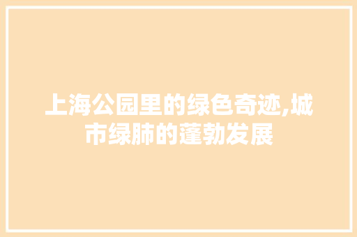上海公园里的绿色奇迹,城市绿肺的蓬勃发展