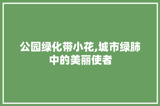 公园绿化带小花,城市绿肺中的美丽使者