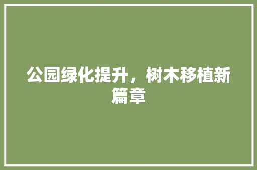 公园绿化提升，树木移植新篇章