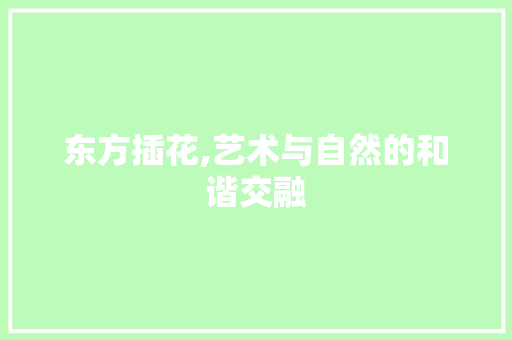 东方插花,艺术与自然的和谐交融