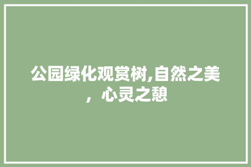 公园绿化观赏树,自然之美，心灵之憩
