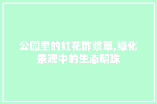 公园里的红花酢浆草,绿化景观中的生态明珠