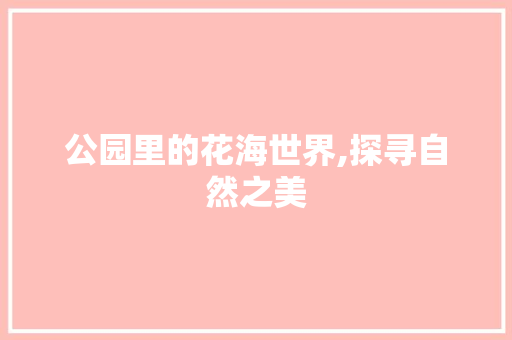 公园里的花海世界,探寻自然之美