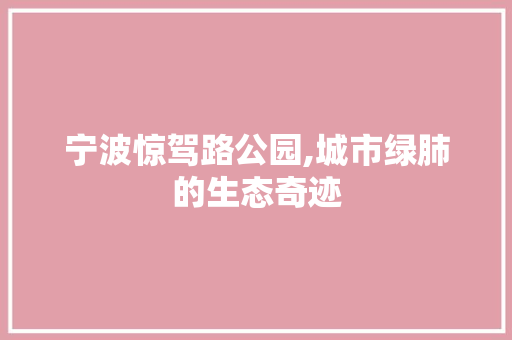 宁波惊驾路公园,城市绿肺的生态奇迹