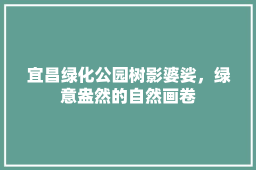 宜昌绿化公园树影婆娑，绿意盎然的自然画卷
