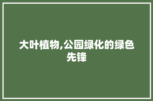 大叶植物,公园绿化的绿色先锋