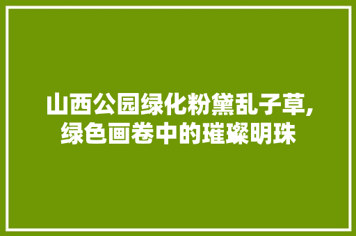 山西公园绿化粉黛乱子草,绿色画卷中的璀璨明珠