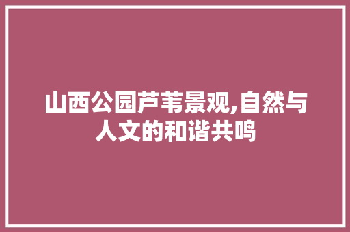 山西公园芦苇景观,自然与人文的和谐共鸣