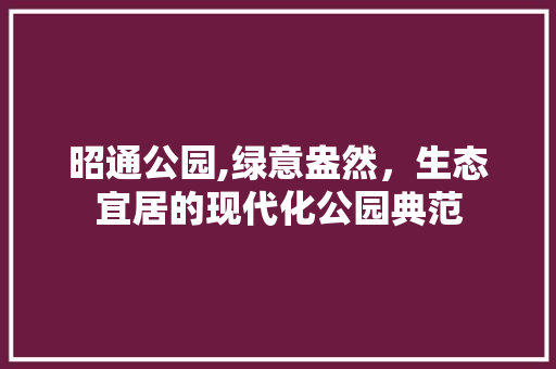 昭通公园,绿意盎然，生态宜居的现代化公园典范