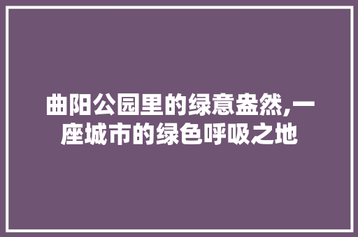 曲阳公园里的绿意盎然,一座城市的绿色呼吸之地