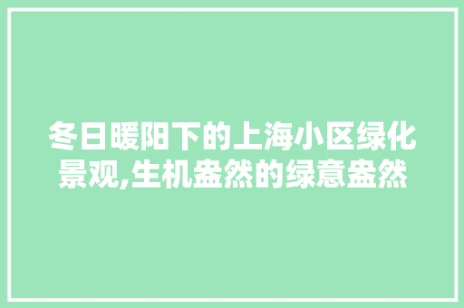 冬日暖阳下的上海小区绿化景观,生机盎然的绿意盎然