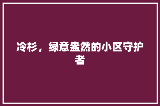冷杉，绿意盎然的小区守护者