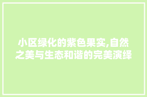 小区绿化的紫色果实,自然之美与生态和谐的完美演绎