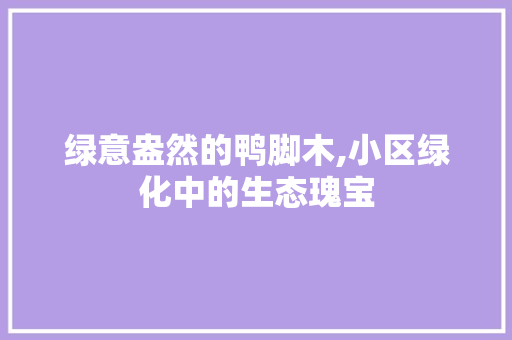 绿意盎然的鸭脚木,小区绿化中的生态瑰宝 育苗设备