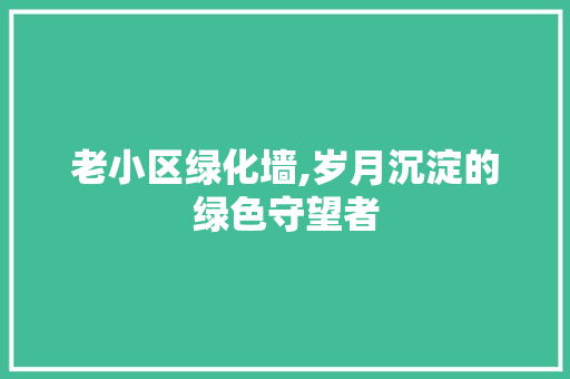 老小区绿化墙,岁月沉淀的绿色守望者 无土育苗