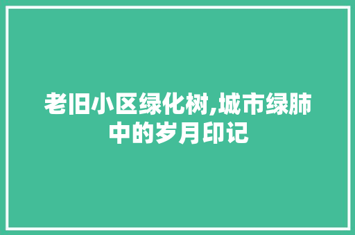 老旧小区绿化树,城市绿肺中的岁月印记