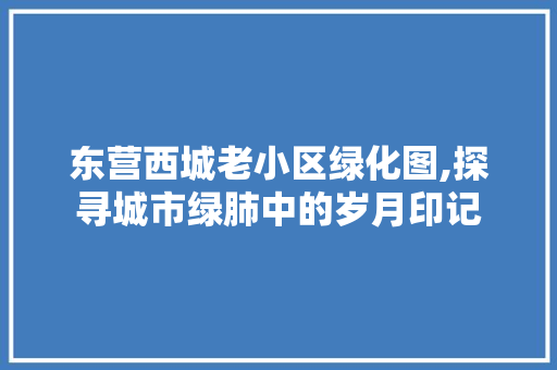 东营西城老小区绿化图,探寻城市绿肺中的岁月印记 蔬菜育苗
