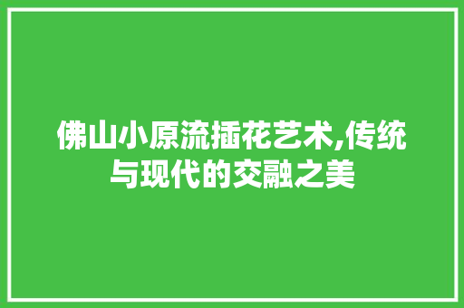 佛山小原流插花艺术,传统与现代的交融之美
