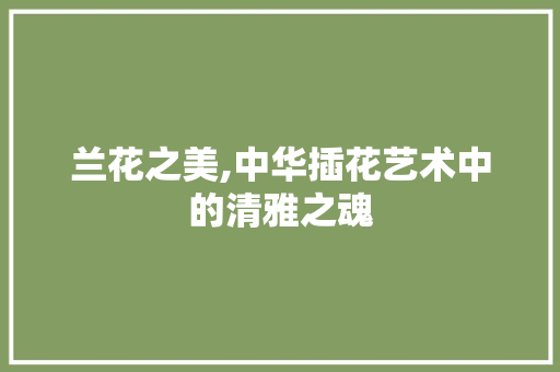 兰花之美,中华插花艺术中的清雅之魂 花卉育苗
