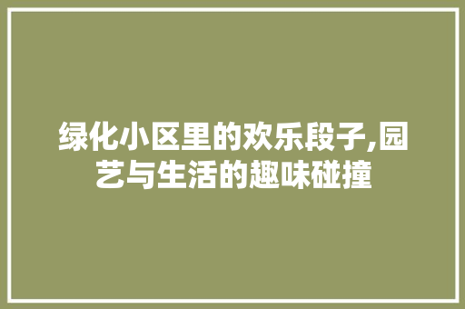 绿化小区里的欢乐段子,园艺与生活的趣味碰撞