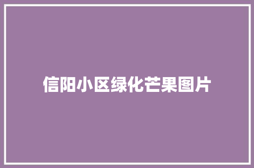 信阳小区绿化芒果图片 嫁接育苗