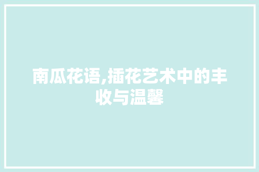 南瓜花语,插花艺术中的丰收与温馨
