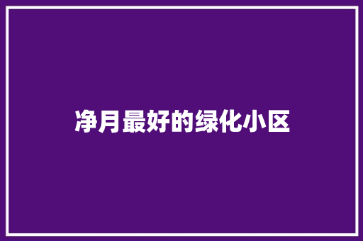 净月最好的绿化小区 林木育苗