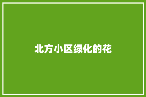 北方小区绿化的花