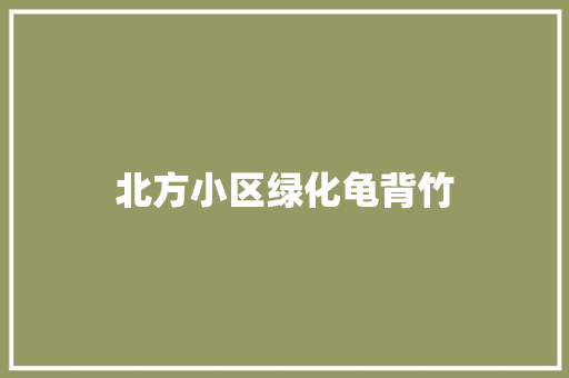 北方小区绿化龟背竹
