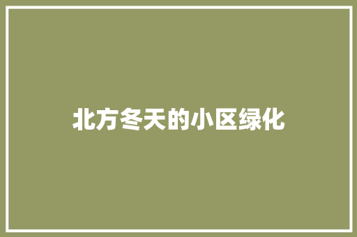 北方冬天的小区绿化