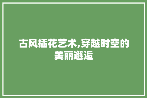 古风插花艺术,穿越时空的美丽邂逅