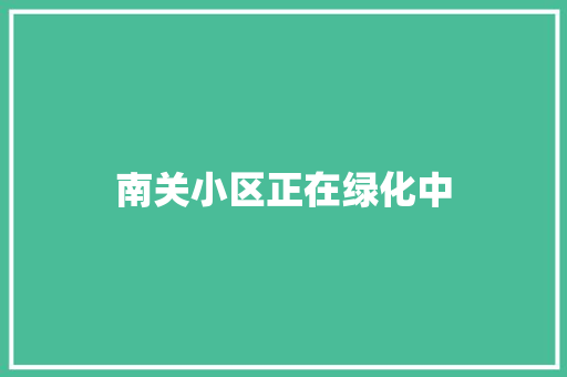 南关小区正在绿化中